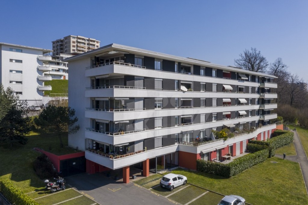 Très bel appartement traversant, spacieux et lumineux - 1