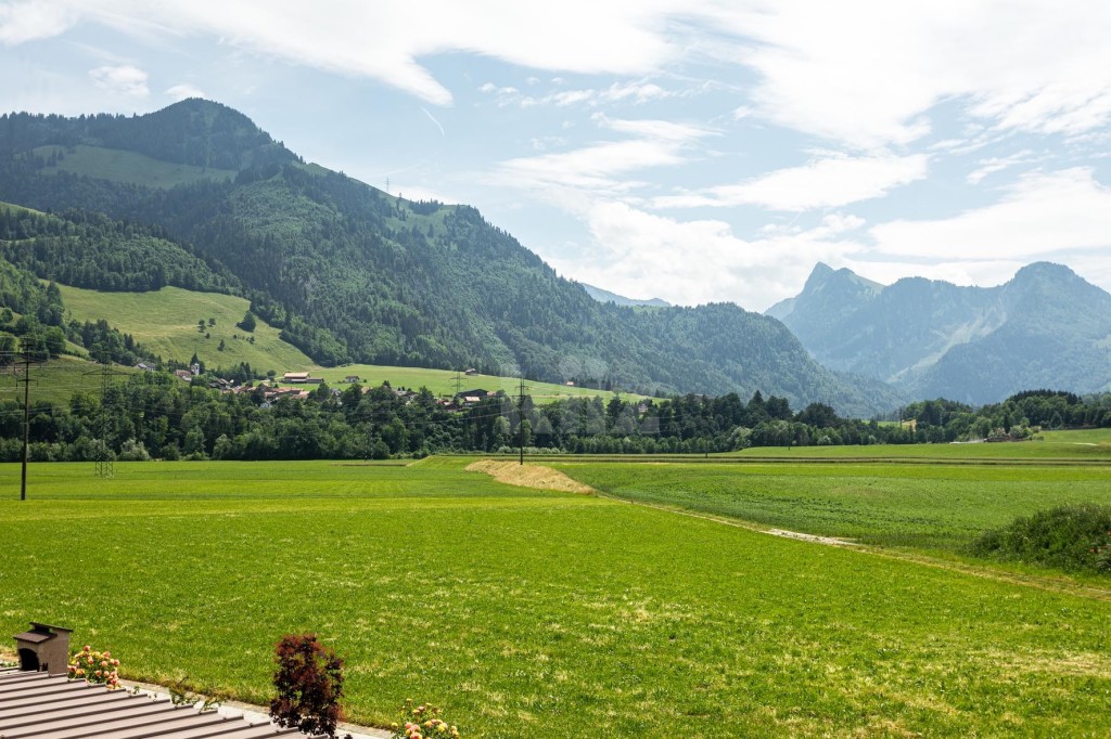 VENDU! Charmante villa avec jardin et magnifique vue dégagée - 1