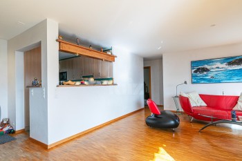 Bel appartement avec vue panoramique et jardin - 4