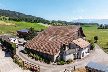 VENDU ! Charmante ferme avec appartement indépendant - 9