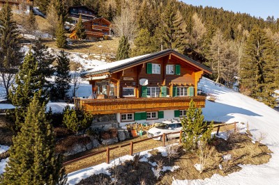 Charmant chalet familial avec vue imprenable sur les Alpes